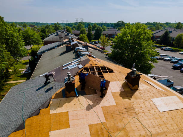 Best Storm Damage Roof Repair  in Staunton, IL